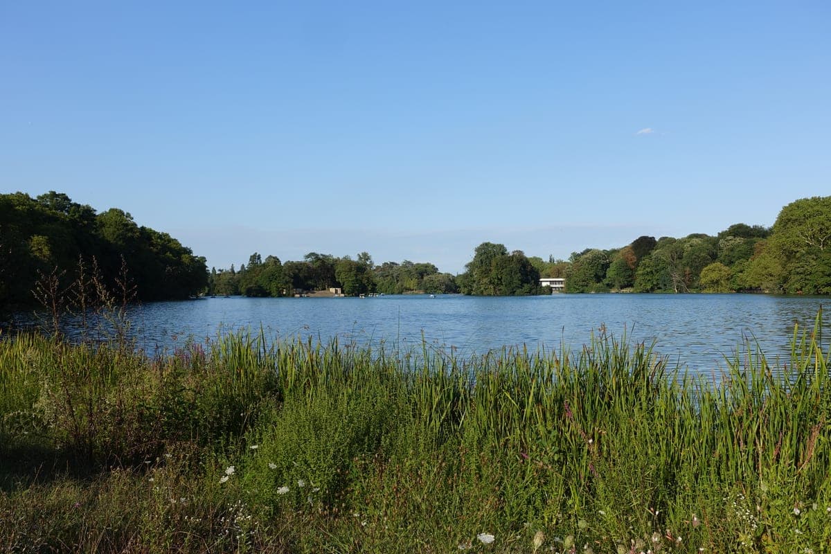 Lacul din parcul Tête d'Or, cu maluri împădurite.