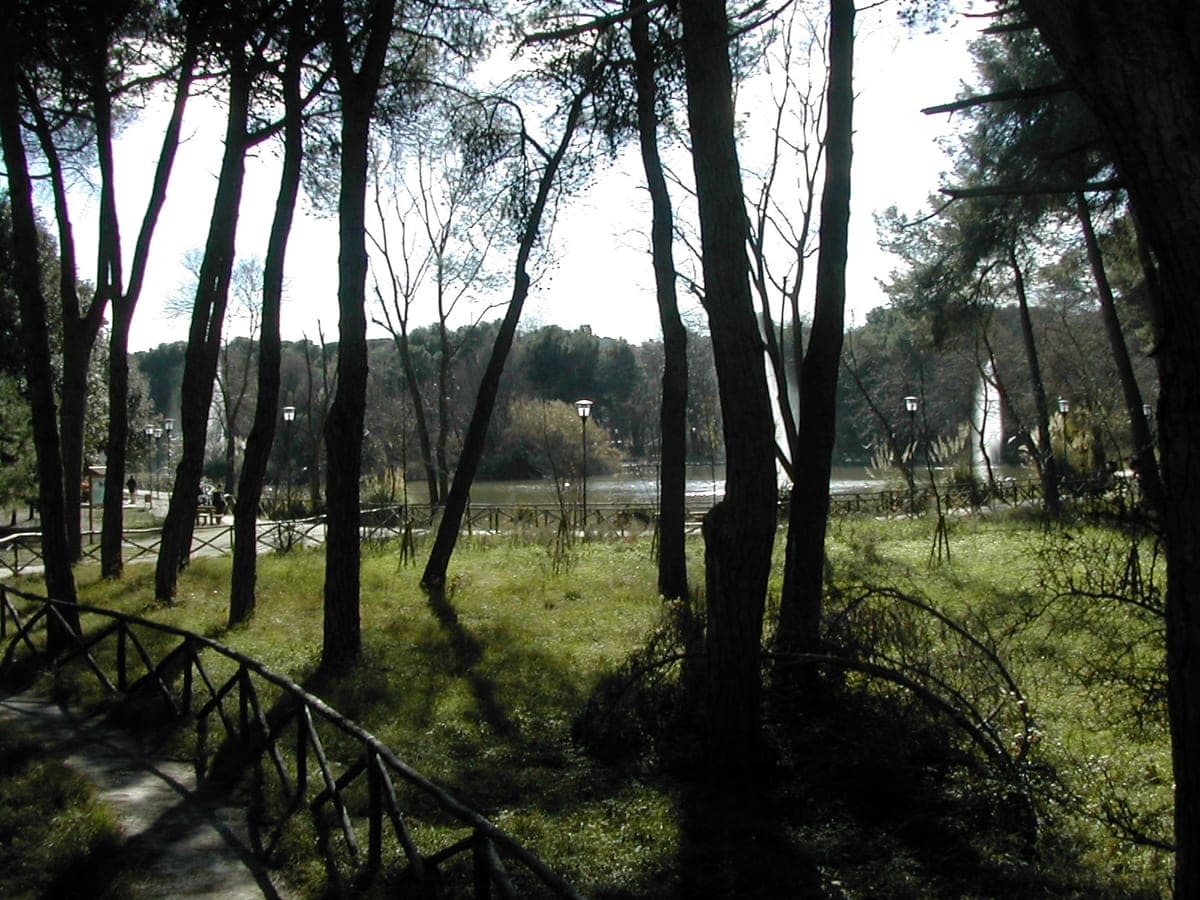Pini și alei în rezervația Pineta Dannunziana din Pescara.