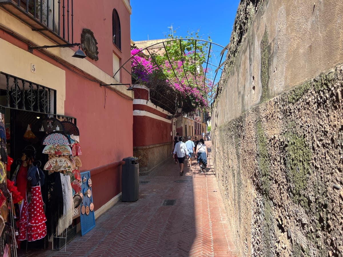 Callejón del Agua, o străduță îngustă din Barrio de Santa Cruz.