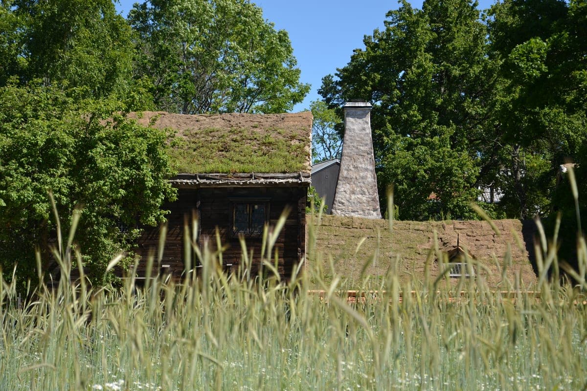 Casă veche din lemn, cu acoperiș de iarbă, la Skansen.